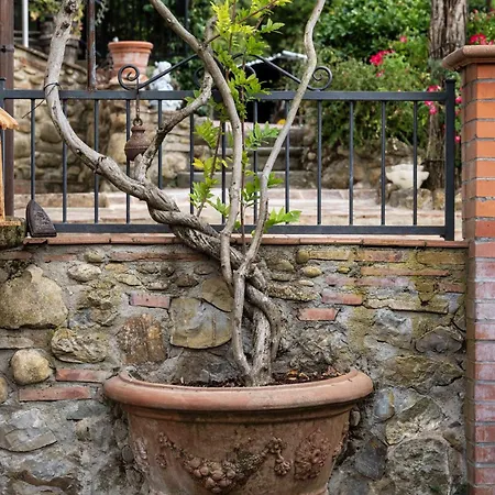 Castellino Di Malborghetto *