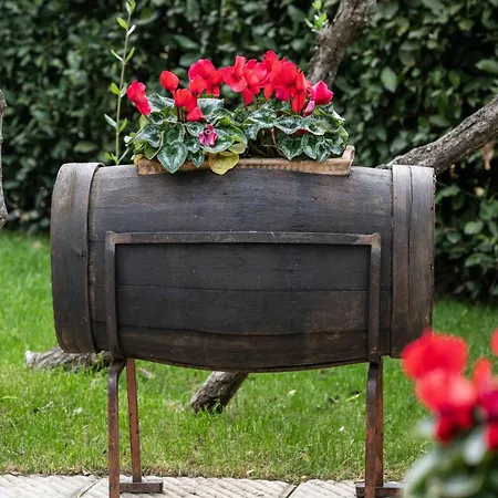 Castellino Di Malborghetto Guest house *